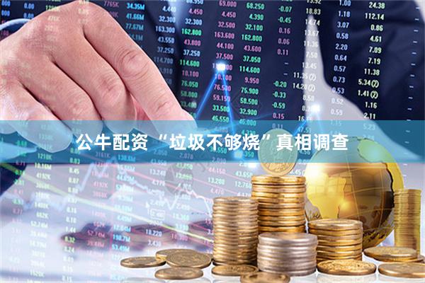 公牛配资 “垃圾不够烧”真相调查