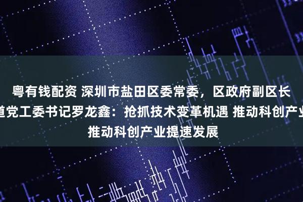 粤有钱配资 深圳市盐田区委常委，区政府副区长，梅沙街道党工委书记罗龙鑫：抢抓技术变革机遇 推动科创产业提速发展