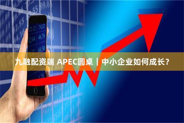 九融配资端 APEC圆桌｜中小企业如何成长？